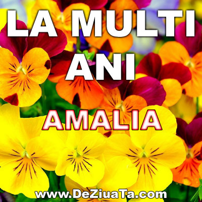 Poze Si Urari De La Multi Ani Amalia Poze Cu Mesaje De La Multi