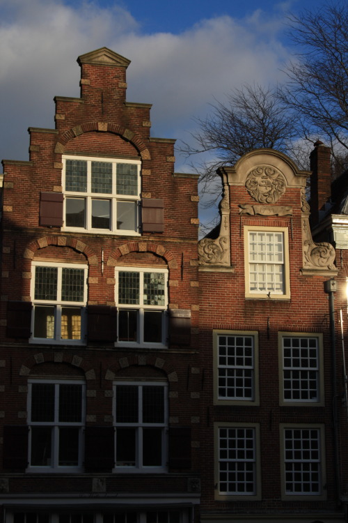 gaenseklein