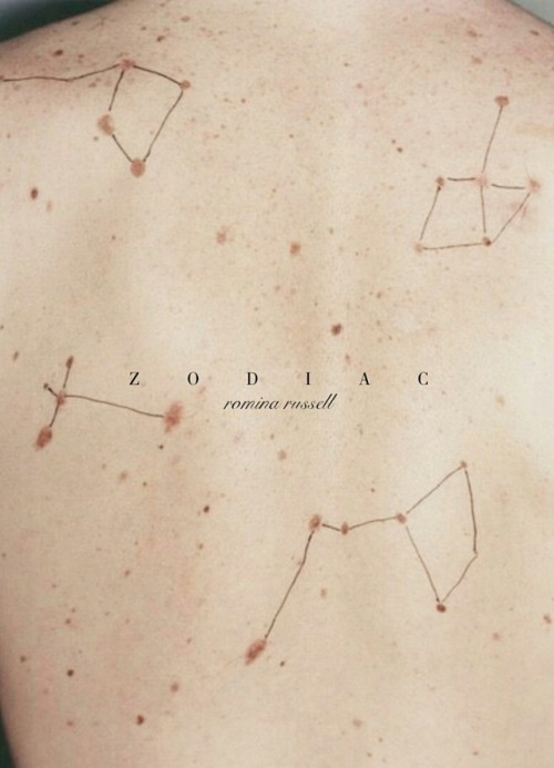 zodiac a novel by romina russell