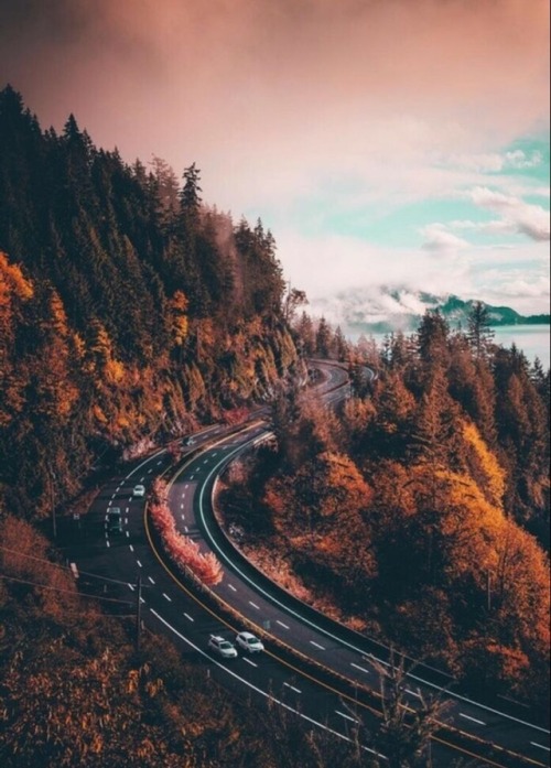 idotravel:autumn