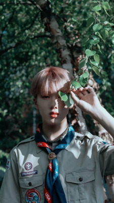 Wallpaper Tumblr Jisung Nct