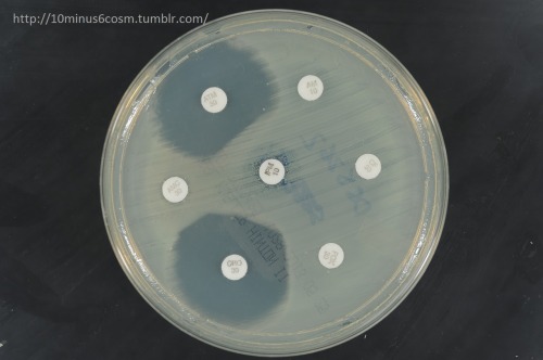 MICROCOSM | Antimicrobial Resistance Series 7: IMI-1, the...