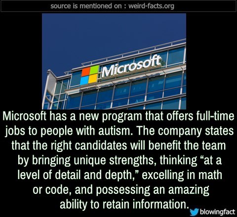 what does microsoft do