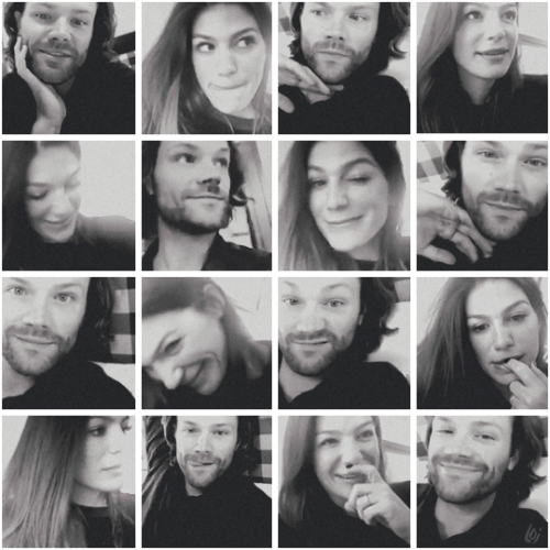 spnedit spncastedit jarededit genevieveedit ilovejared smklemontagy little real life messages insta live videos jared padalecki genevieve padalecki imt imt10 imt23 mlrmop the cotton candy tag did I mention sobbing about so much cuteness softer than a cotton ball drowning in fabric softener for Laurie - I hope that is what you had in mind hug