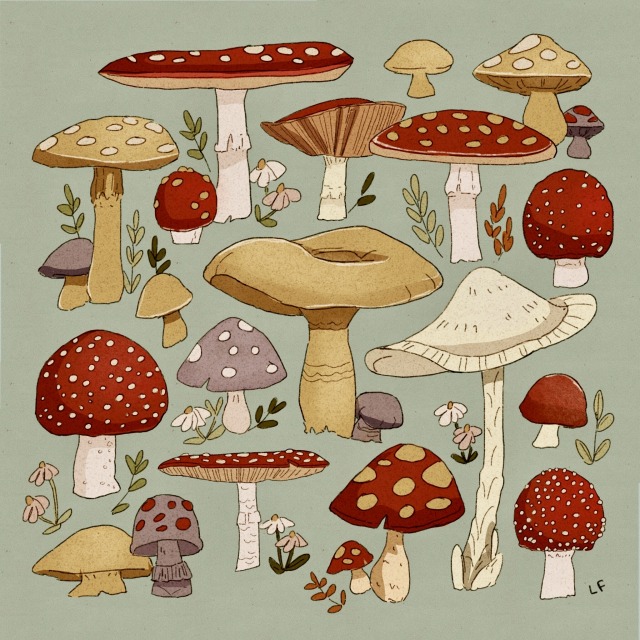 Mushroom Sketch Tumblr
