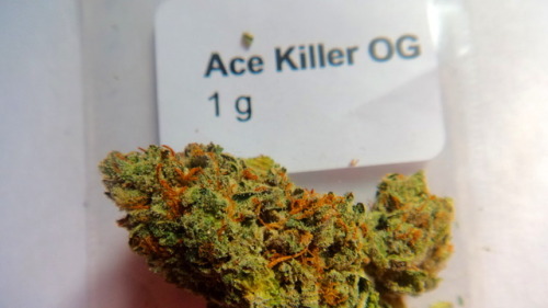 st0nertrash:Ace Killer OG