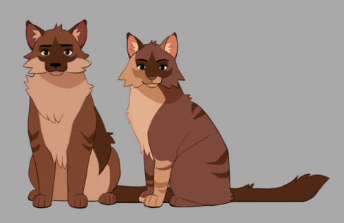 djkinski:Tigerstar and Co. 