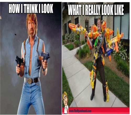 meme-land