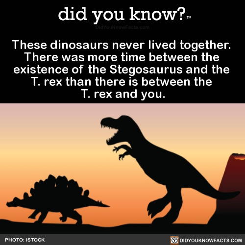 did-you-kno:These dinosaurs never lived together. There was...