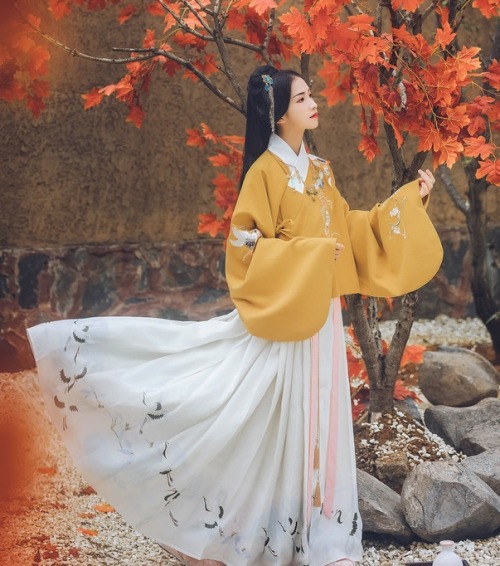 ziseviolet:Traditional Chinese Hanfu - Type: Aoqun/袄裙.