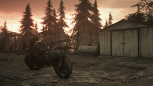 panzertron:Days Gone photo mode dump from the holiday weekend.