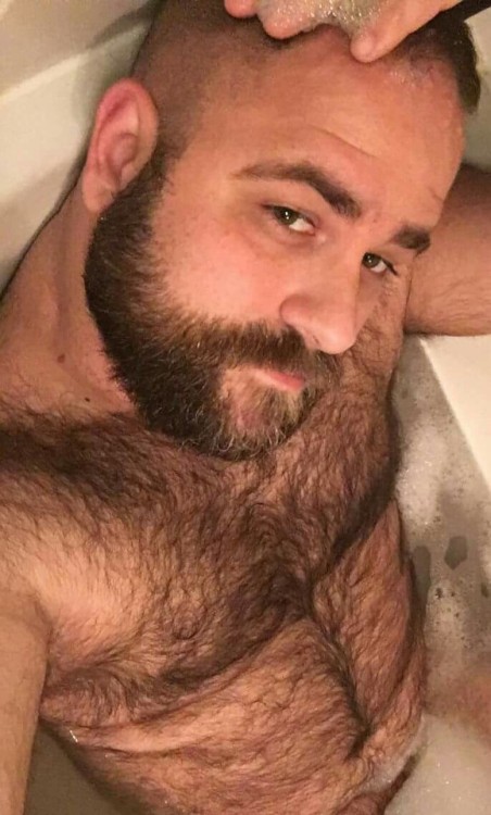 Sexy Bears and Cubs