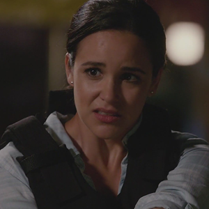 iconsperaltiago