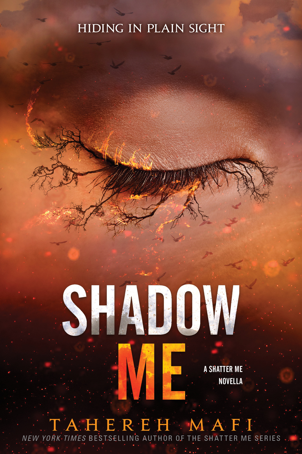 Book Review  Shatter Me – ejstories