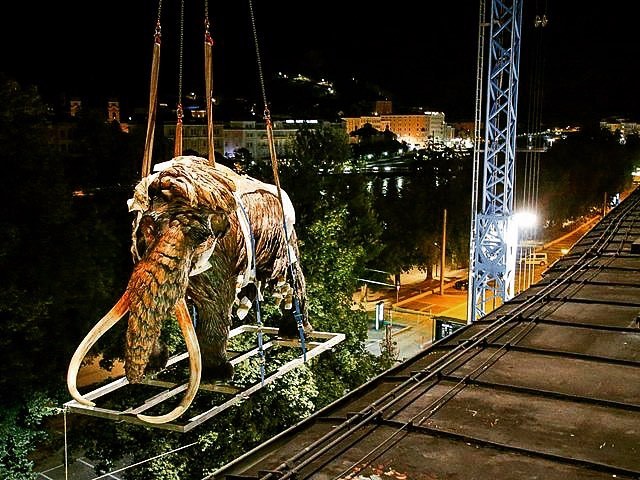 Quagga Sculpture Mammut Crane Over Salzburger Skyline