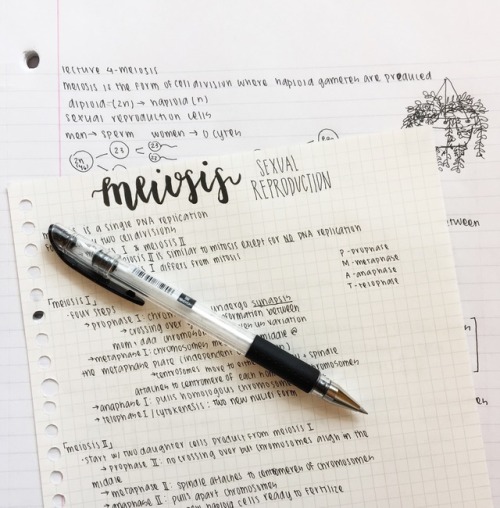 jiyeonstudies:5.16.17 - 44/100messy class notes + slightly...