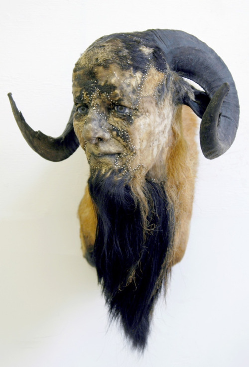 unexplained-events:Kate Clark’s Twist on TaxidermyKate Clark,...