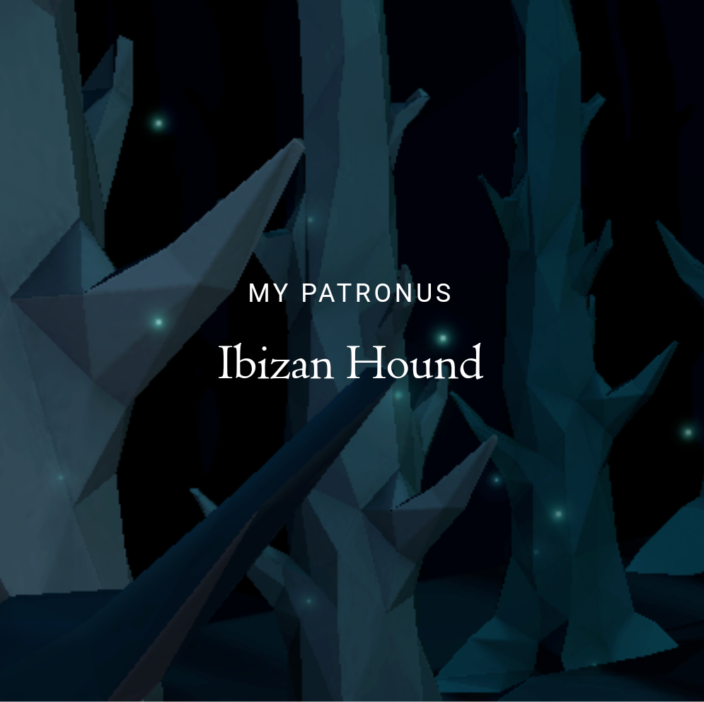 The Patronus Library — Hound Witches and wizards who conjure an...