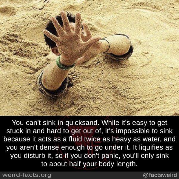 Weird Facts You Can T Sink In Quicksand While It S Easy To