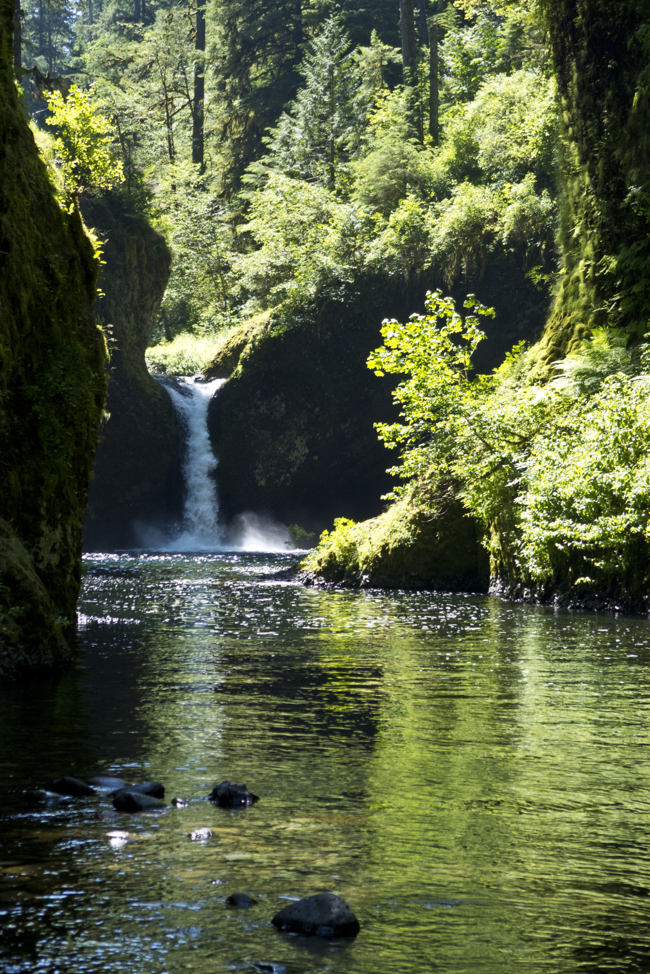 Day trip to Punch Bowl Falls, Eagle Creek, Oregon.... The Simontist