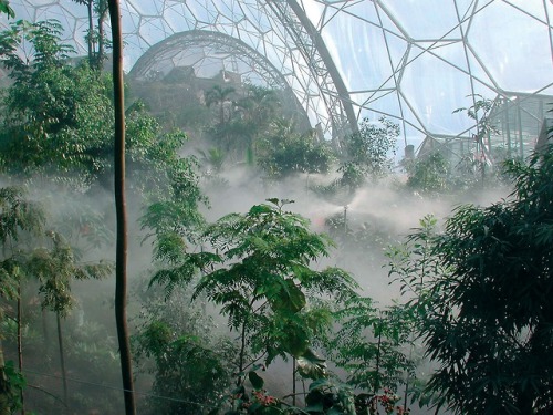 jirimandak:The Humid Tropics Biome, at the Eden Project in...