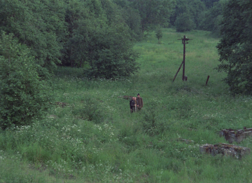 alexalleshater:Stalker (1979) - by Andrei Tarkovsky