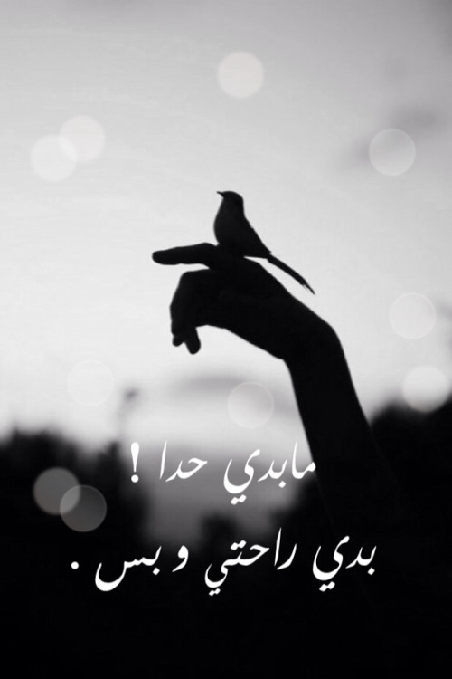 ابيض واسود - صفحة 33 Tumblr_n2p7pc8r8n1spf2w9o1_500