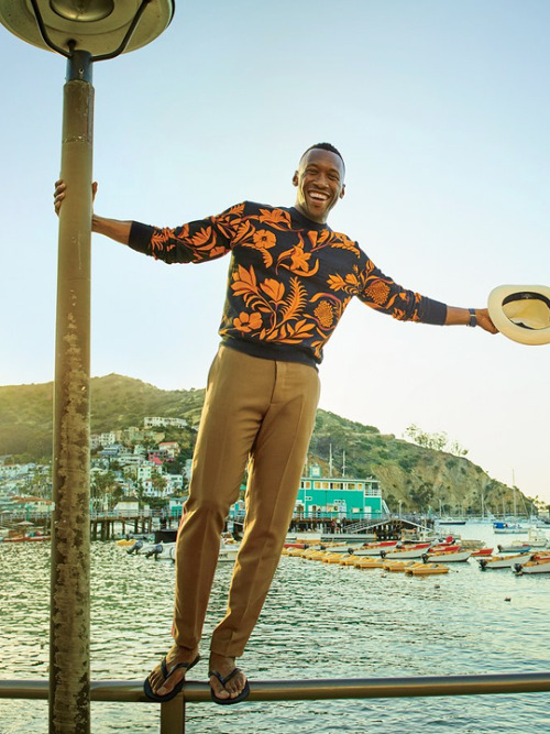 ludi-lin:Mahershala Ali photographed by Peggy Sirota for GQ...