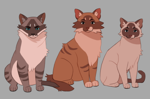 djkinski:Tigerstar and Co. 