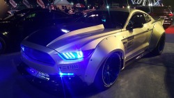 @Mustang Fanatic