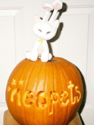 neopets finds halloween aisha