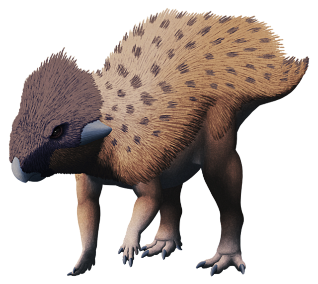 Very Very Old Friends — alphynix: Ceratopsian Month #04 – Auroraceratops...