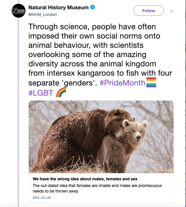 Anti-Porn Feminists â€” The Natural History Museum is calling animals...