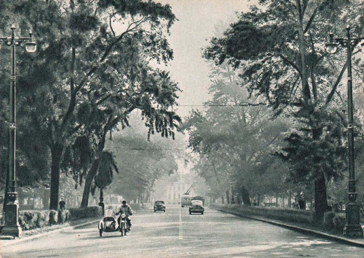 Vasilyevsky island in St Petersburg (1960)