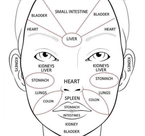 Chinese Face Chart For Acne