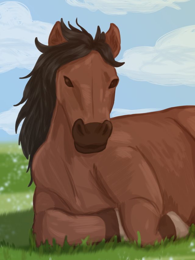 mustang horse art | Tumblr