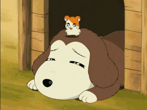 animedogoftheday:Today’s anime dog of the day is:Brandy from...