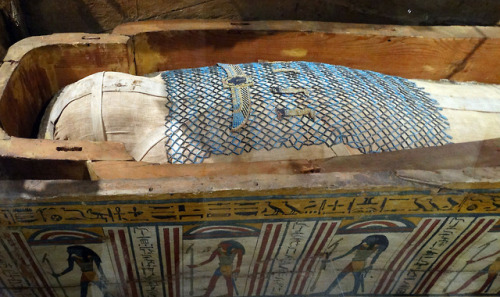 grandegyptianmuseum:Mummy inside the Coffin of...