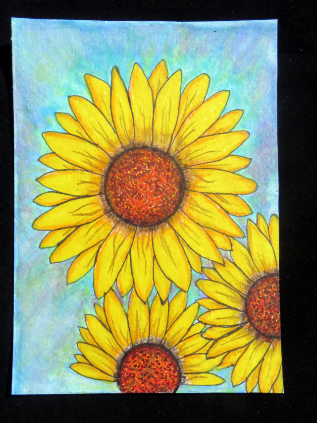 mitchie-s-galleria-sunflowers-hand-drawn-markers-colored-pencils