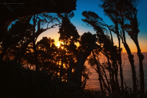 conserva-tus-colores:siluetas de gigantes al atardecer...