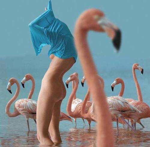 Look, I’m a flamingo!