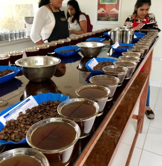 peruvian coffee