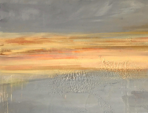 s0irenic:‘PAiNTED DESERT'  -   Linnea Heide  - ...