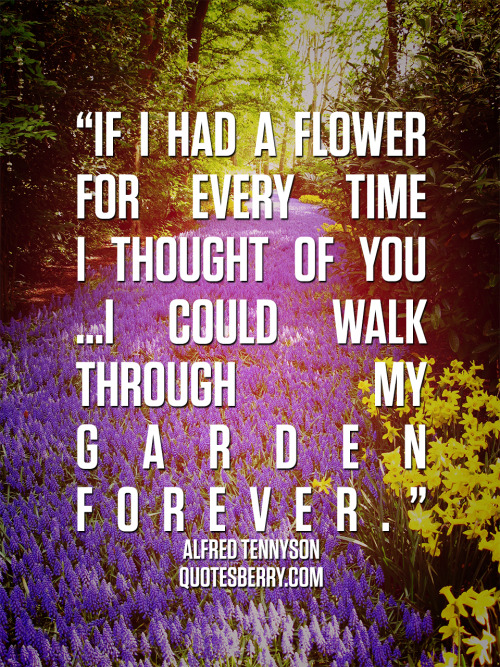 If I had a flower for every time I thought of... | QuotesBerry: Tumblr ...