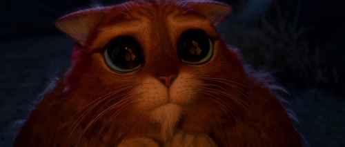cat-dol