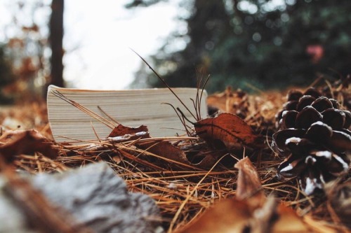 fall aesthetic fall autumn aesthetic autumn leaves books september october november sweaterweather