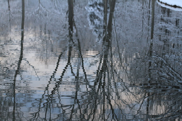 Download Snowfall on first day of Spring! Gorgeous scenery ...