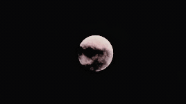 https://66.media.tumblr.com/e47cfb2f1c1ca958586feb79220f91eb/tumblr_prf3otW2oD1ufrz0io1_400.gif