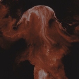 ravencycle