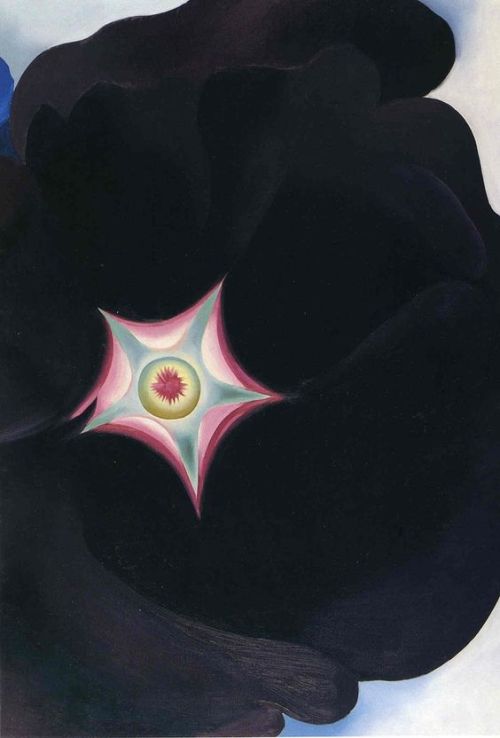 Georgia O'Keeffe, Black Flower, 1929 oil on canvas more